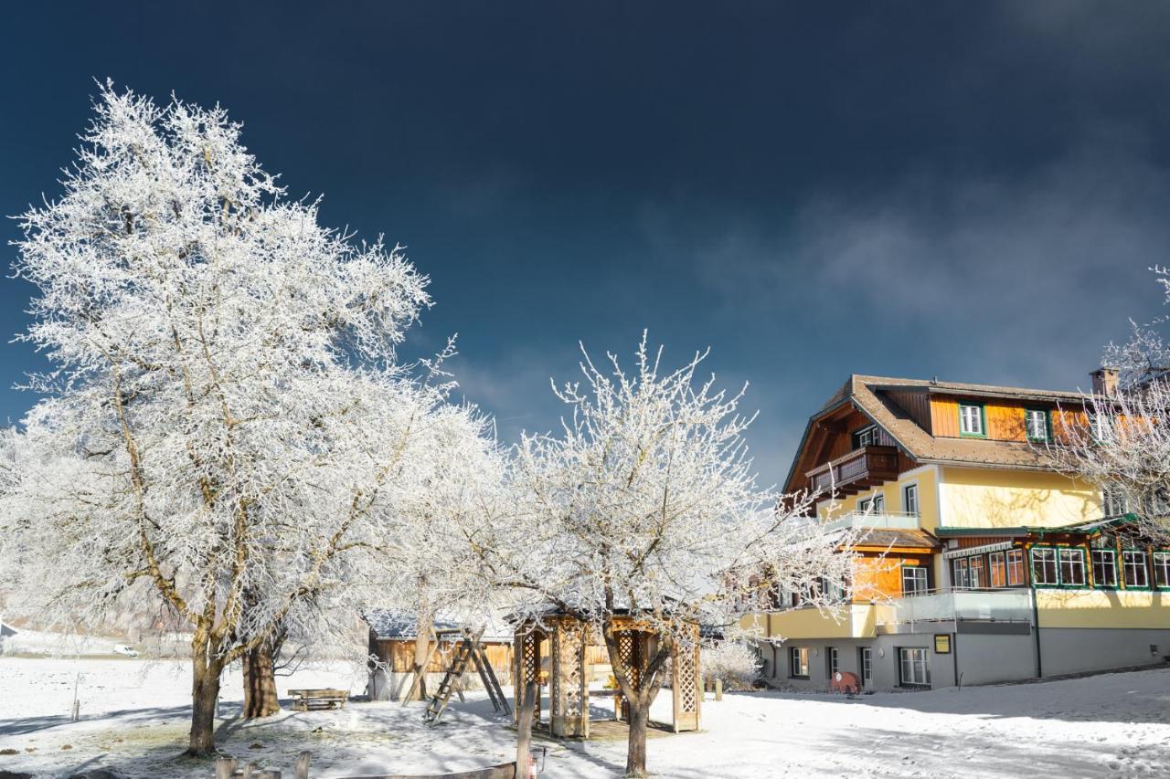 Pension Glitschnerhof Aigen im Ennstal Ngoại thất bức ảnh