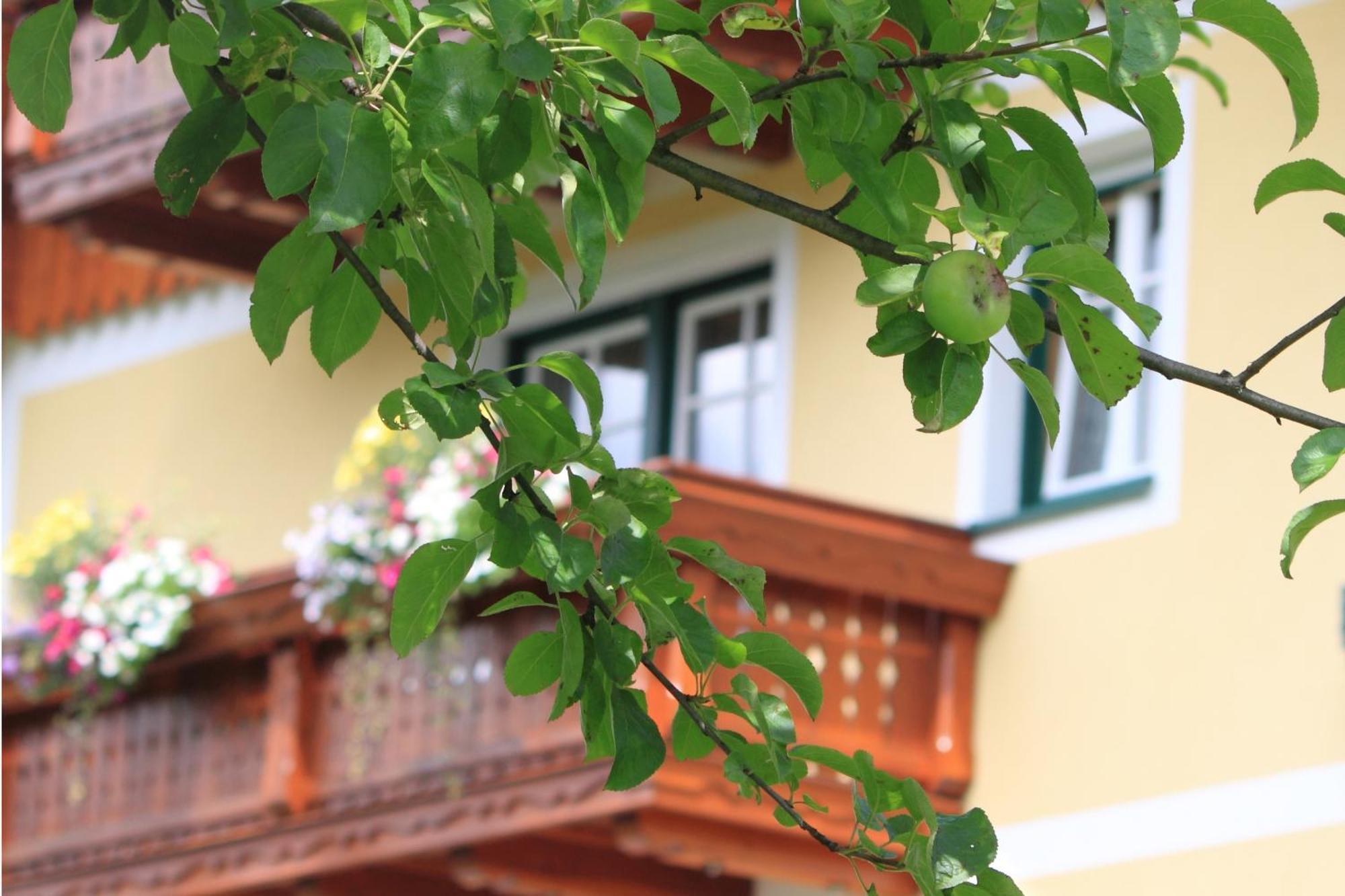 Pension Glitschnerhof Aigen im Ennstal Ngoại thất bức ảnh